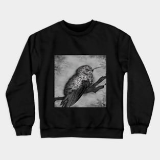 Hummingbird Crewneck Sweatshirt